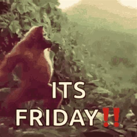 it friday gif|smell that its friday gif.